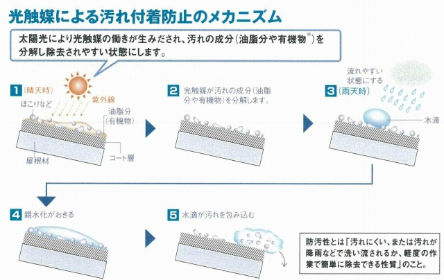 イメージ 5