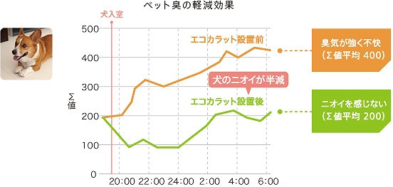 イメージ 5