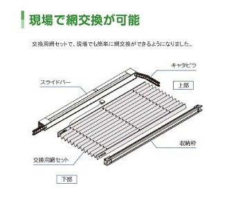 イメージ 5